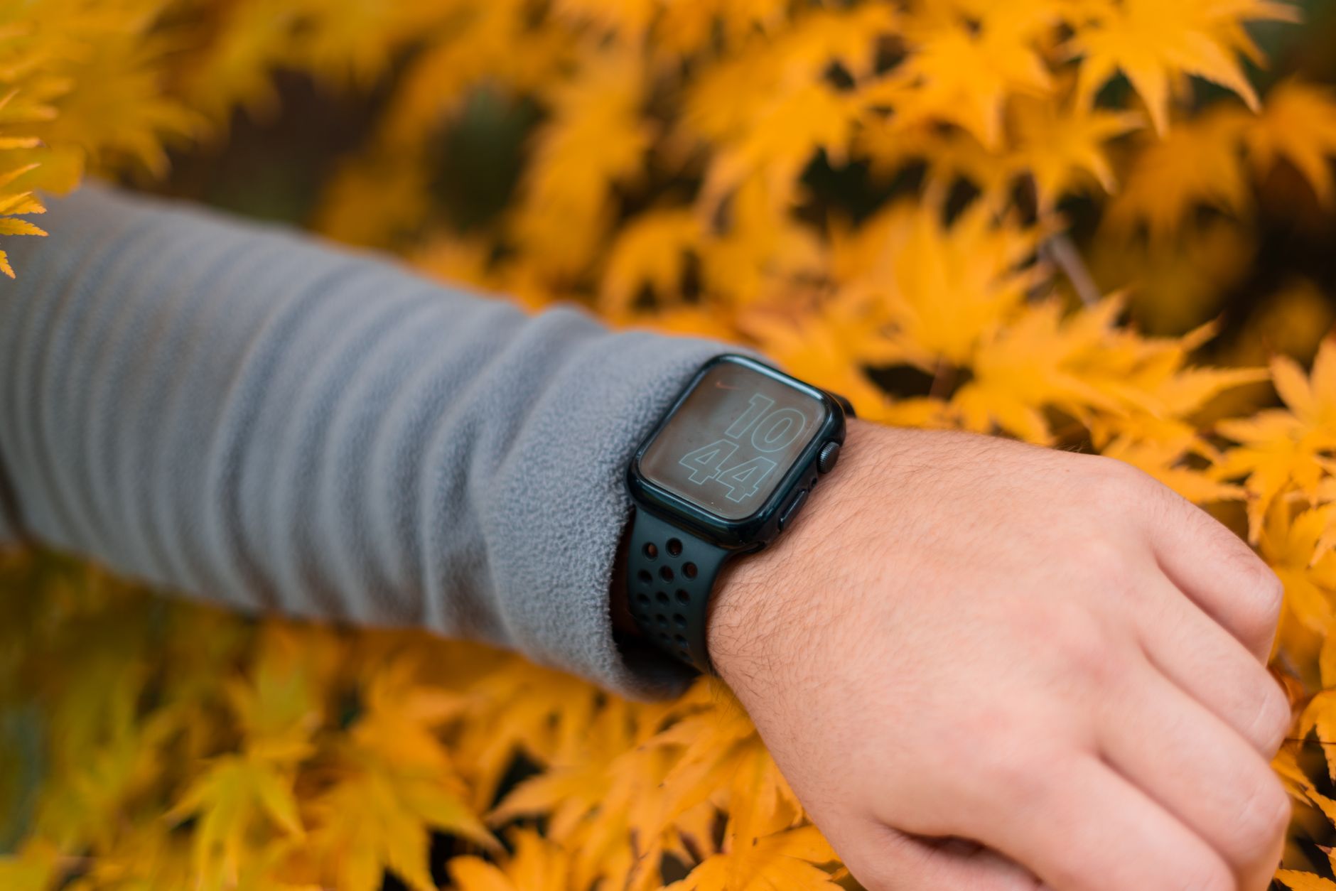 The Apple Watch Ultra 2 Titanium Case Is Holding Up Better Than It Should
